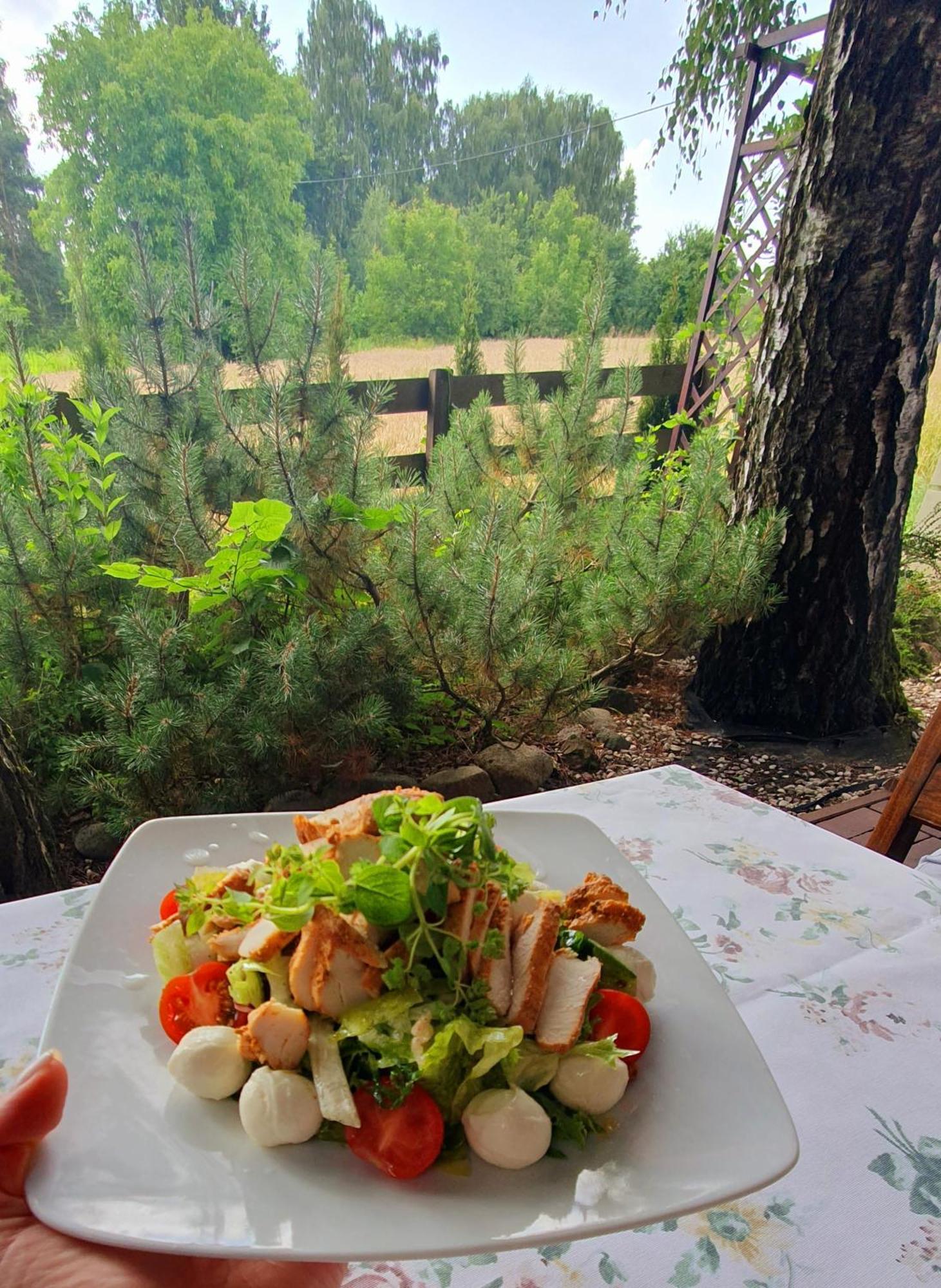 Bed and Breakfast Dwór Anna Ciecierzyn Zewnętrze zdjęcie